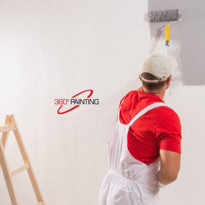 360 Painting Franchise for Sale