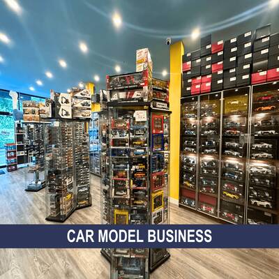 Profitable car model business for sale(110 19181 34A Ave)