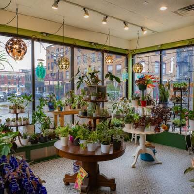 Popular Botanical Boutique