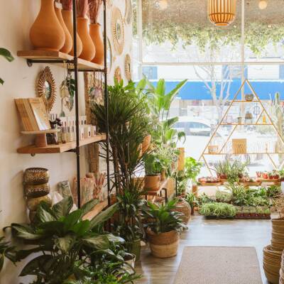 Popular Botanical Boutique