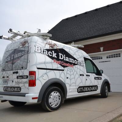 Black Diamond Pest Control Franchise for Sale