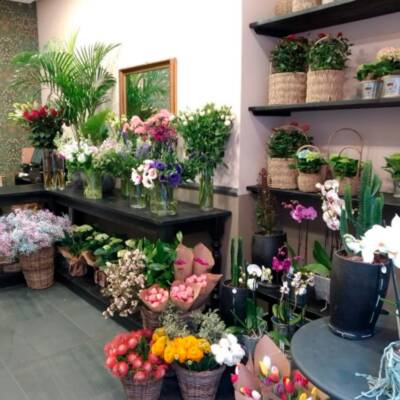 FLOWER SHOP FOR SALE IN UPTOWN TORONTO