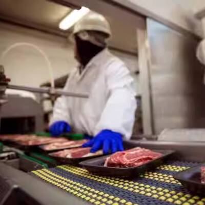 FOOD PROCESSING BUSINESS FOR SALE IN MISSISSAUGA