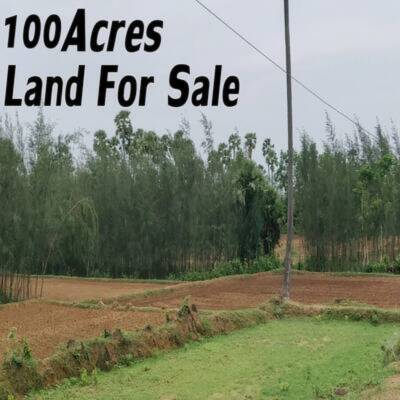 100+ Acres Farm Land for Sale in Bowmanville
