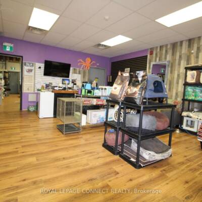 PET GROOMING, SPA, PET FOOD FOR SALE IN CAMBRIDGE