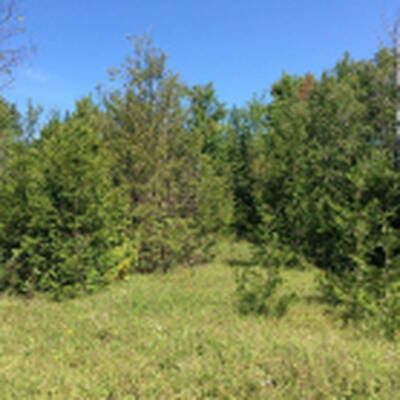 Land Parcel For Sale - Wetaskiwin, AB